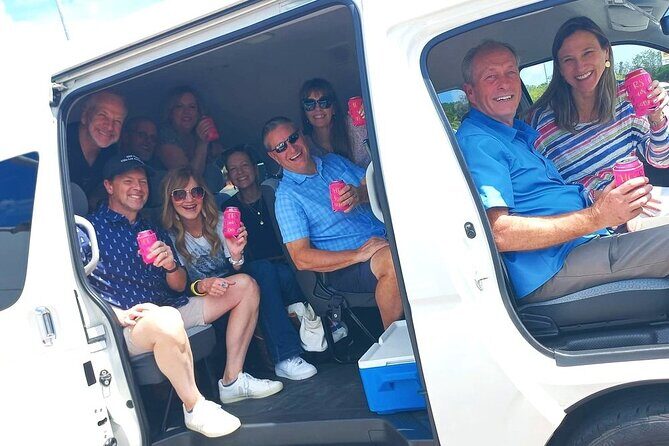 Cozumel Airport & Cruise Terminal Transfers - Who Is This Transfer Service Best For?