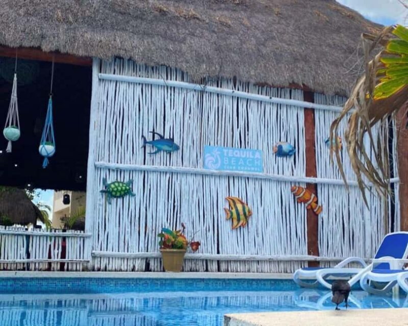 Cozumel: All-Inclusive Beach Club Day Pass with Open Bar - FAQ