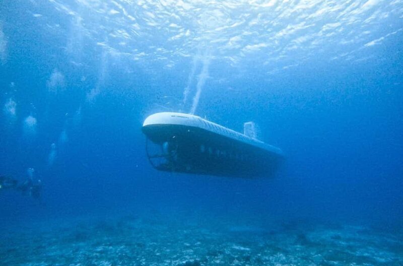 Cozumel: Atlantis Submarine Adventure - Exploring the Itinerary and What You Can Expect