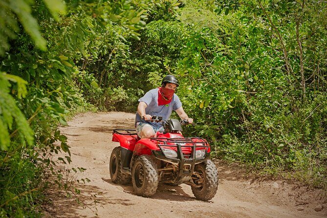 Cozumel ATV Jungle Small Group Guided Ride - Key Points