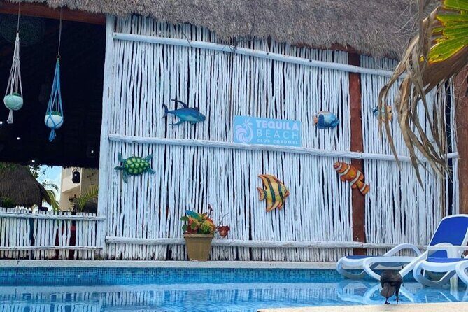 Cozumel Beach Club with Unlimited Food and Drinks - The Sum Up