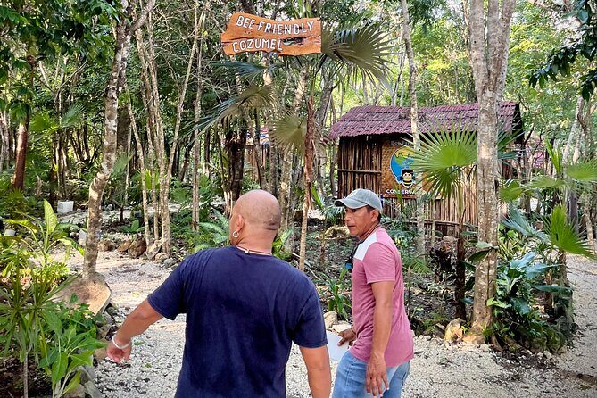 Cozumel: Bee Farm + Honey & Chocolate Tasting + Sightseeing - Who Would Love This Tour?