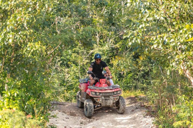 Cozumel: Best ATV Jungle Tour + Locker - Exploring Cozumel’s ATV Jungle Tour: A Deep Dive