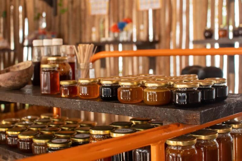 Cozumel Buggy Tour, Otoch Mayan Experience & Clear Boat - What Makes This Tour Stand Out