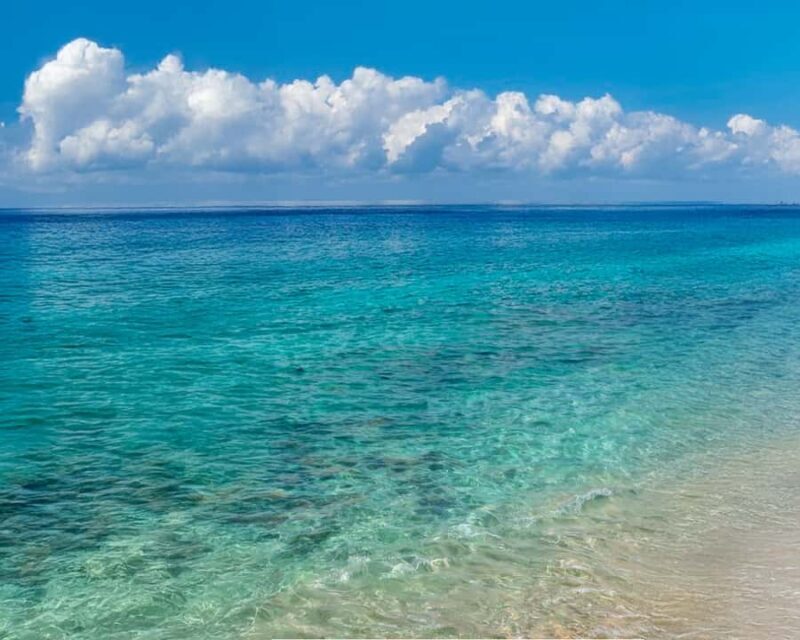 Cozumel: Buggy Tour with Tacos, Tequila, and Beach - Who Would Love This Tour?