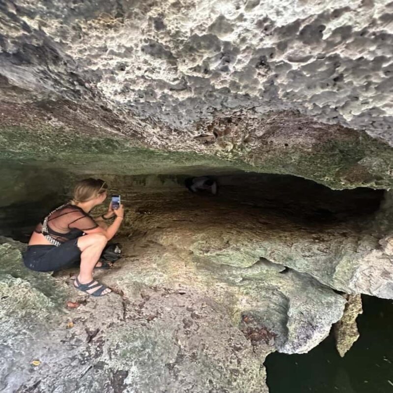 Cozumel by Quad: Visit the Cenote and the Cave - Final Thoughts