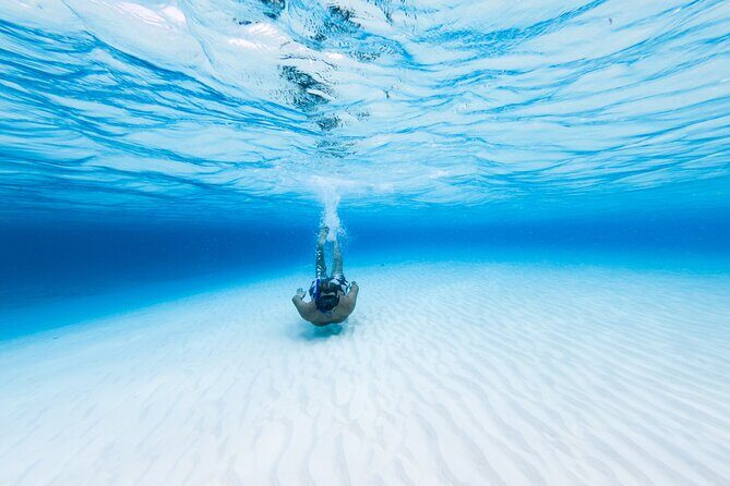 Cozumel Catamaran Snorkeling Tour & lunch® - A Detailed Look at the Cozumel Catamaran Snorkeling & Lunch Tour