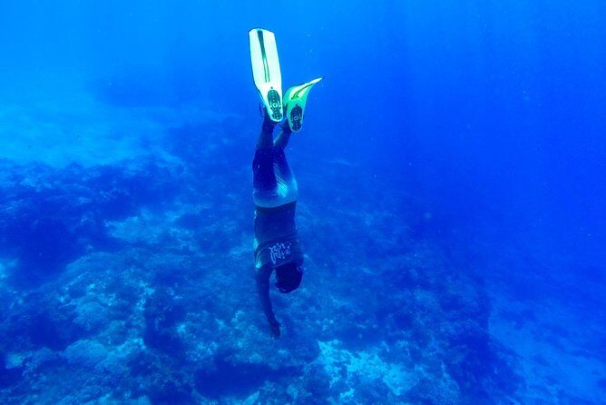 Cozumel Catamaran Snorkeling Tour & Lunch (Hotel Pick Up) - FAQs