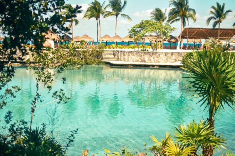 Cozumel: Chankanaab Park All-Inclusive Experience with Pool - Key Points