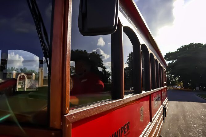 Cozumel City Tour By Trolley - A Deep Dive into the Cozumel Trolley Tour Experience
