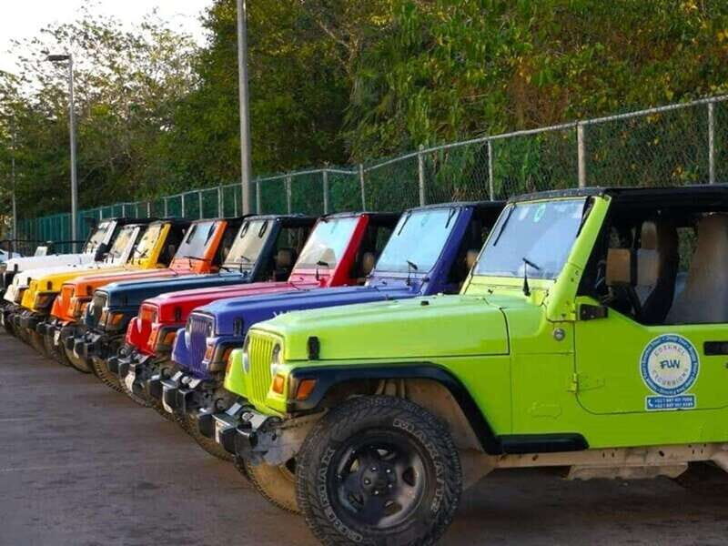 Cozumel: Classic Jeep or Buggy Island Tour to Punta Sur - Practical Tips for Booking & Participation