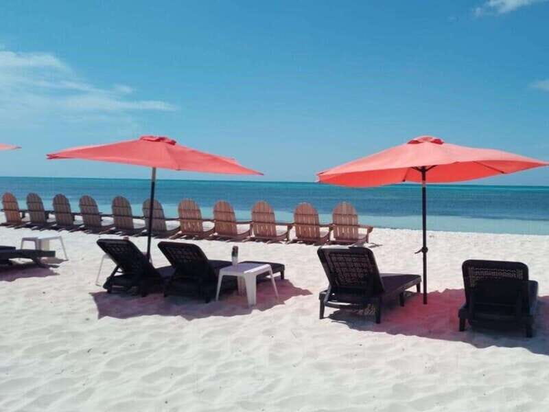Cozumel: Classic Jeep or Buggy Island Tour to Punta Sur - The Sum Up