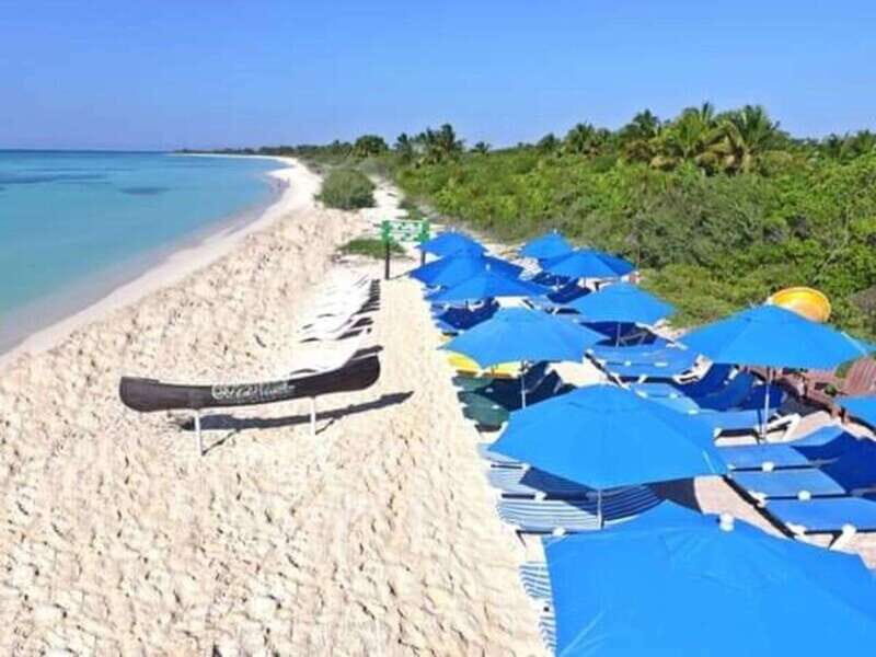 Cozumel: Classic Jeep or Buggy Island Tour to Punta Sur - FAQ