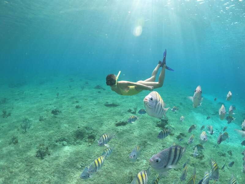 Cozumel: Clear Boat Ride and Snorkeling Trip - Final Thoughts