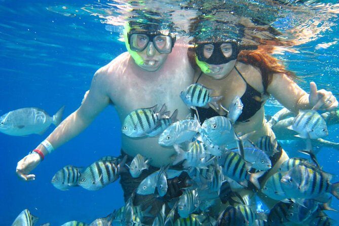 Cozumel Coral Reef Snorkeling by Glass Bottom Boat with Guide - FAQ