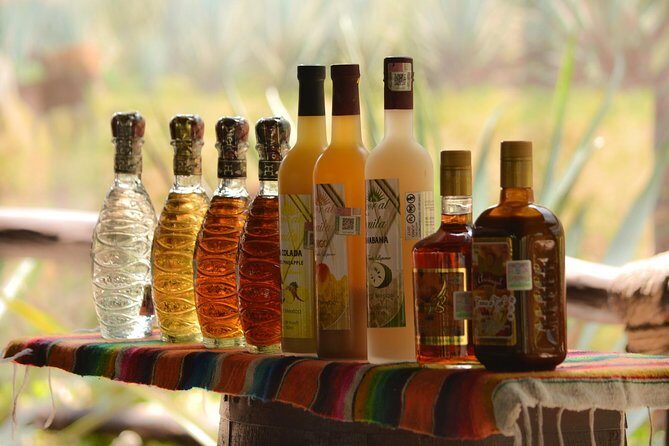 Cozumel Cultural Jeep Tour with Mayan Village and Mexican Lunch - Frequently Asked Questions