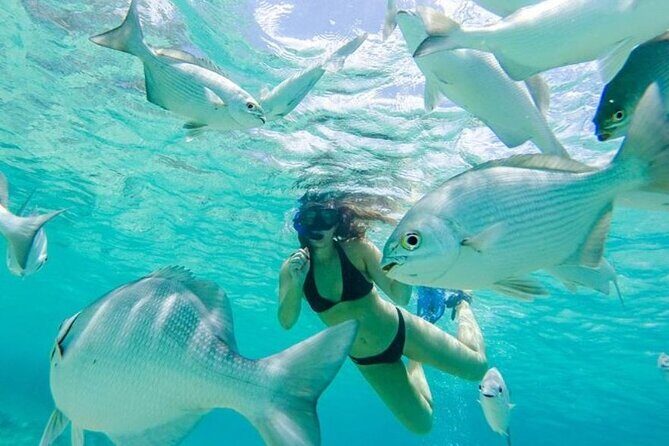 Cozumel: Day in Punta Sur Eco Park and Del Cielo Beach with Snorkeling - Who Will Love This Tour?