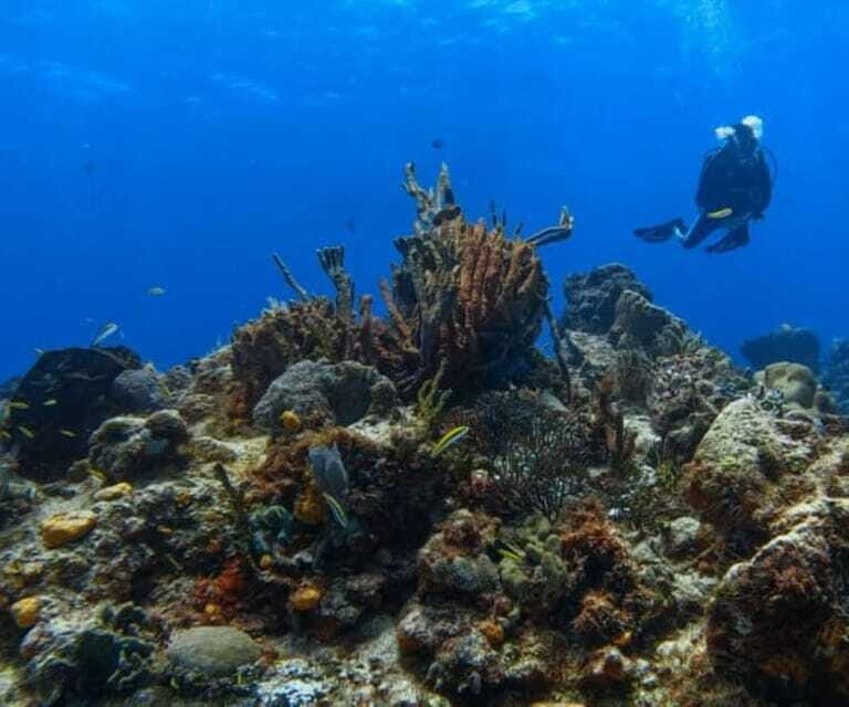 Cozumel: Discover Scuba Diving - The Value of the Experience