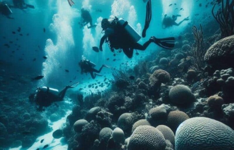 Cozumel: Discovery Scuba Diving. No experience required. - What makes this tour worth considering?