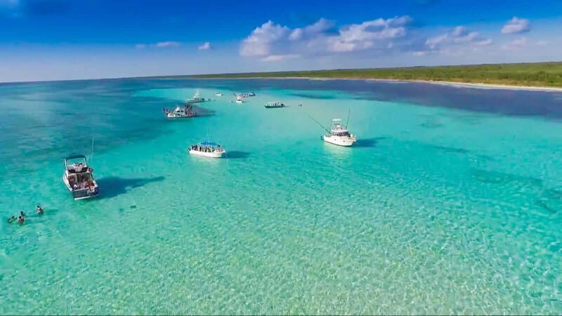 Cozumel: El Cielo & Palancar Snorkel with Open Bar & Ceviche - What Makes This Tour Stand Out?