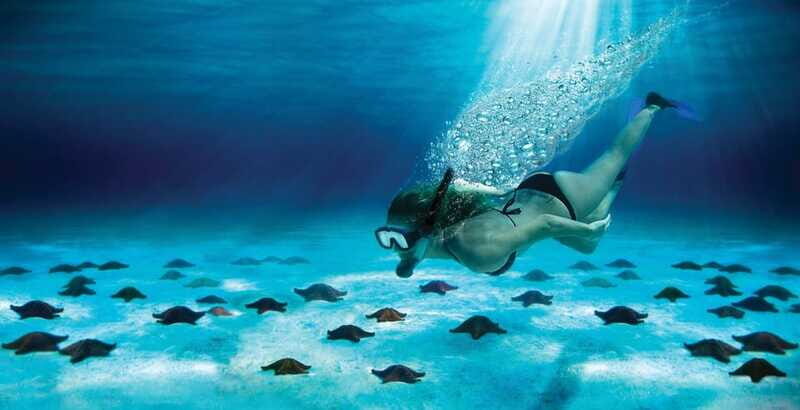 Cozumel: El Cielo & Palancar Snorkel with Open Bar & Ceviche - Final Thoughts: Is This Tour Right for You?