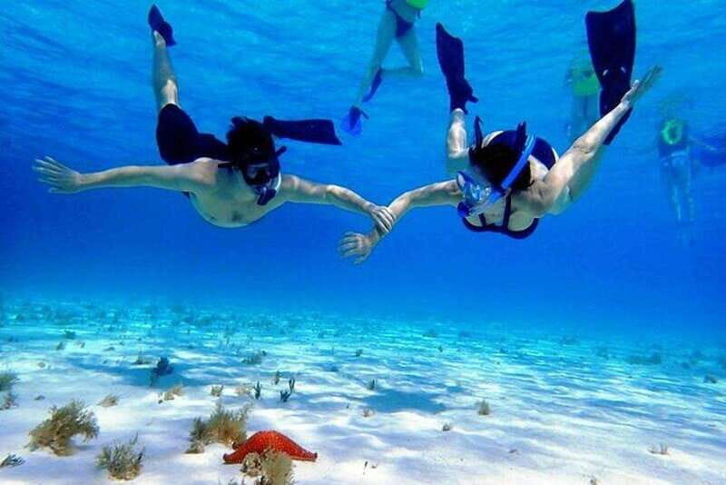 Cozumel El Cielo Sandbar and Reef Snorkeling Tour - A Deep Dive into the Cozumel Snorkeling Experience