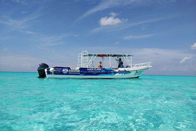 Cozumel El Cielo Sandbar and Reef Snorkeling Tour - Considerations and Who It’s For