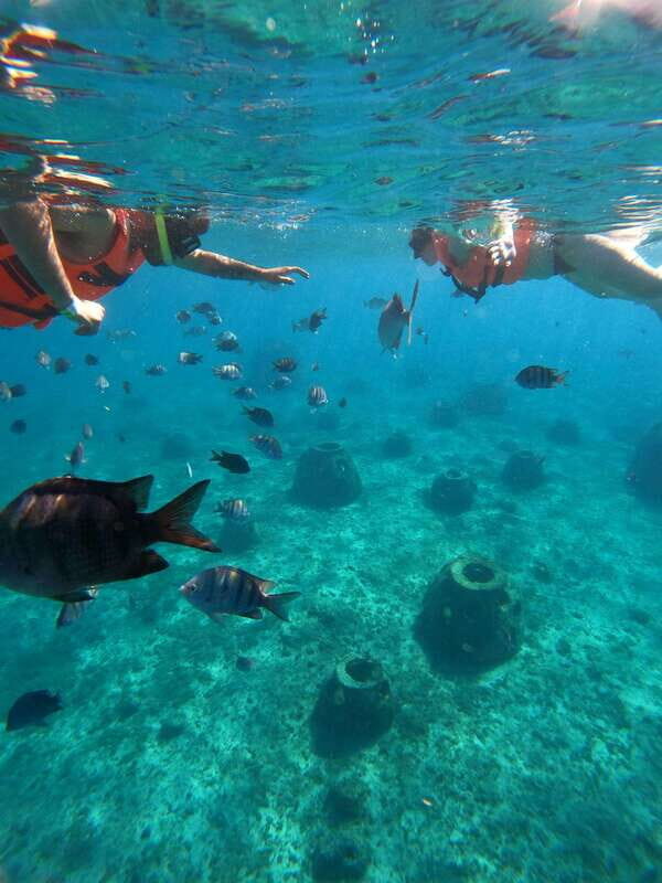 Cozumel: Excursion Crystal Boat Tour with Snorkel & Drinks - An In-Depth Look at the Cozumel Crystal Boat Tour