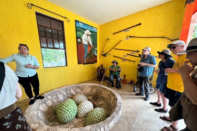 Cozumel History Flavors and Beach - The Traditional Tequila Hacienda Visit