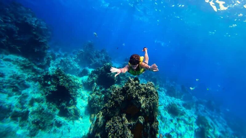 Cozumel: Hop on a glass-bottom boat and dive into a snorkeling adventure - Key Points