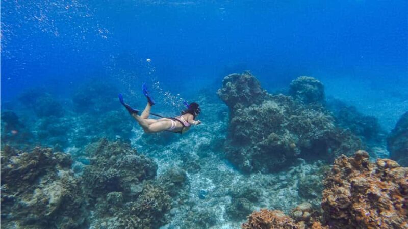 Cozumel: Hop on a glass-bottom boat and dive into a snorkeling adventure - Why This Tour Offers Great Value