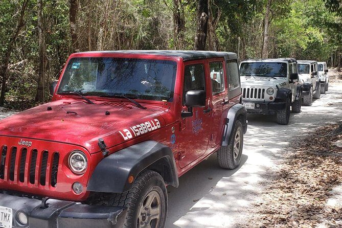 Cozumel Jeep Adventure to Jade Caverns with Lunch and Snorkel - Authentic Experiences From Real Travelers