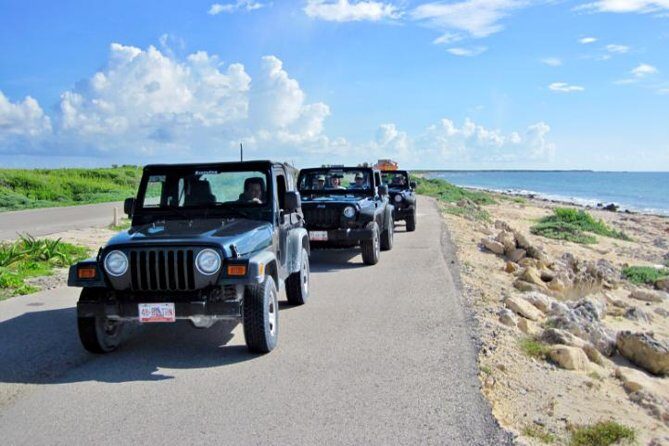 Cozumel Jeep Tour from Cancun and Riviera Maya - Authentic Insights from Reviews