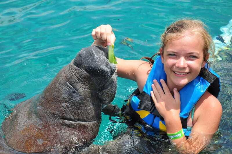 Cozumel: Manatee Encounter, Chankanaab Admission and Buffet - The Sum Up
