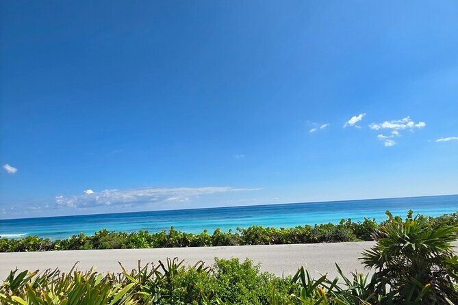 Cozumel Minivan Private Tour Experience - Exploring the Cozumel Minivan Private Tour in Detail