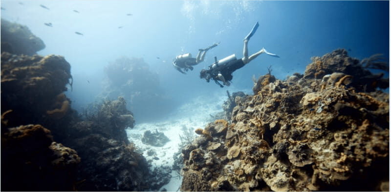 Cozumel: Ocean Dive - Exploring the Underwater World of Cozumel With DIVE MIKE
