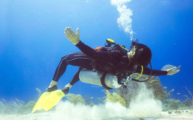 Cozumel: One Tank Scuba Dive and Full Chankanaab Park Access - Key Points