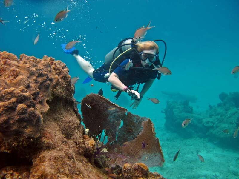 Cozumel: One Tank Scuba Dive and Full Chankanaab Park Access - Final Thoughts