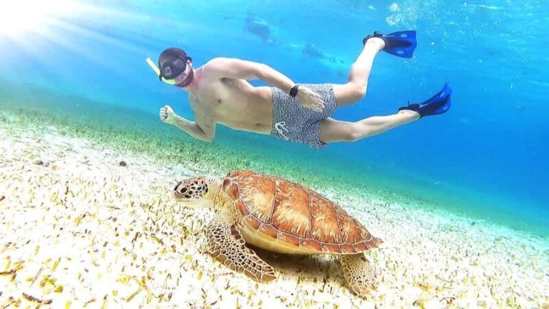 Cozumel: Palancar, Columbia and Cielo Reefs Snorkeling Tour - Why This Tour Is Worth It