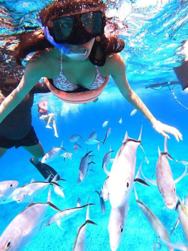 Cozumel: Palancar, Columbia and Cielo Reefs Snorkeling Tour - Frequently Asked Questions