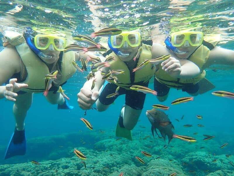 Cozumel: Palancar, Columbia and Cielo Reefs Snorkeling Tour - FAQ