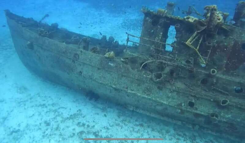 Cozumel, Passion Island: 4-Hour Private Tour - An Authentic Coastal Escape with Snorkeling and Food