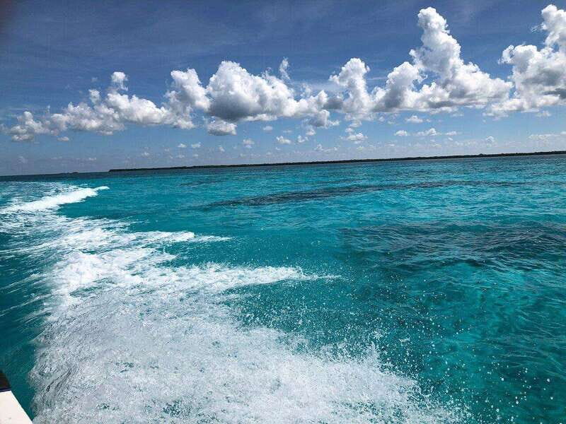 Cozumel, Passion Island: 4-Hour Private Tour - The Sum Up