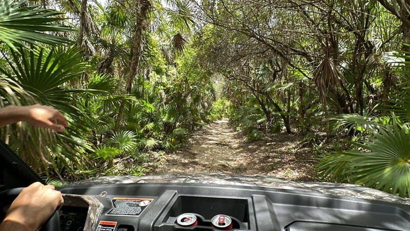 Cozumel: Private All Terrain Buggy Adventure at Virgin Beach - Key Points