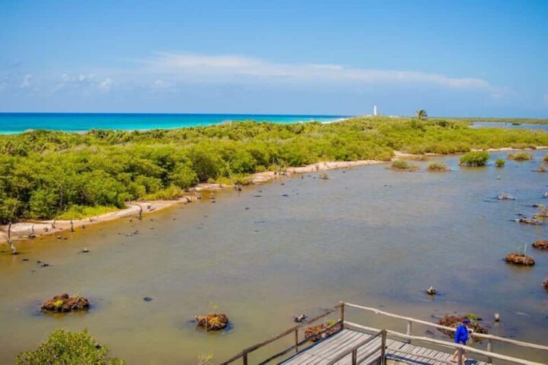 Cozumel: Private Buggy Tour to Punta Sur Park All Inclusive - What to Expect from the Cozumel Buggy Tour