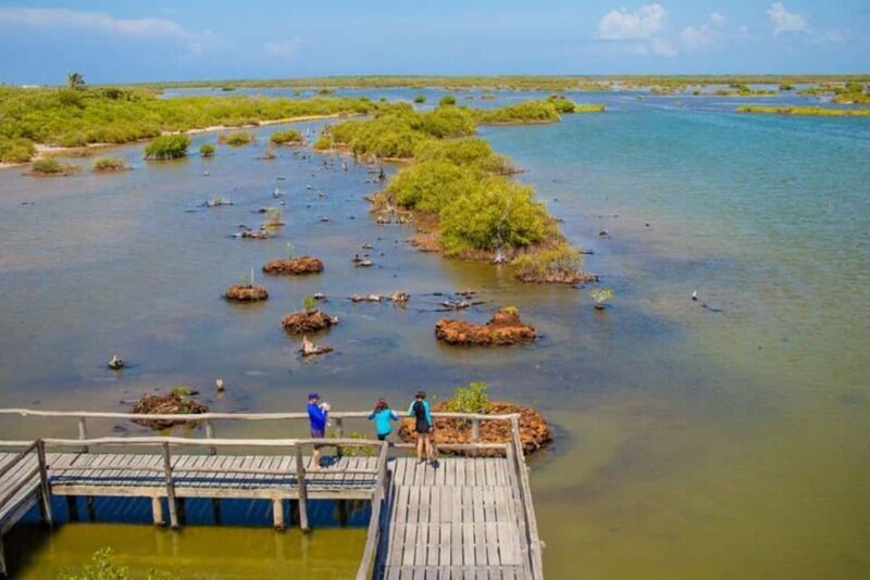 Cozumel: Private Buggy Tour to Punta Sur Park All Inclusive - Who Will Enjoy This Tour?