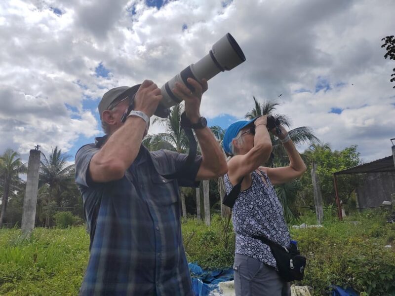 Cozumel: Private Car, Driver & Certified Tour Guide - Key Points