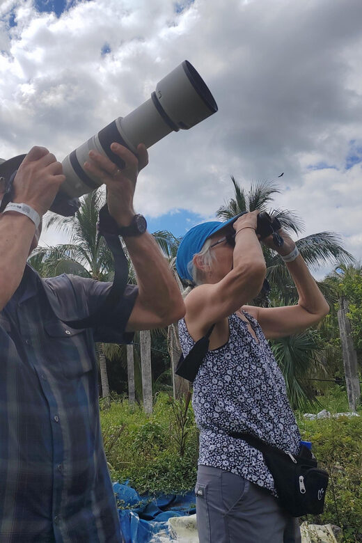 Cozumel: Private Car, Driver & Certified Tour Guide - Deep Dive: What Makes This Tour Stand Out?