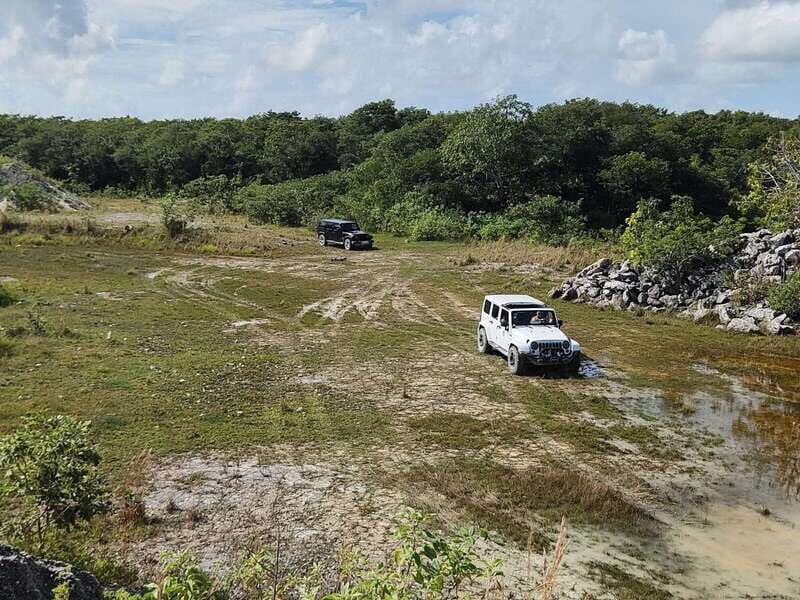 Cozumel: Private Caves and Ruins Tour with Lunch 5 Hours - Key Points
