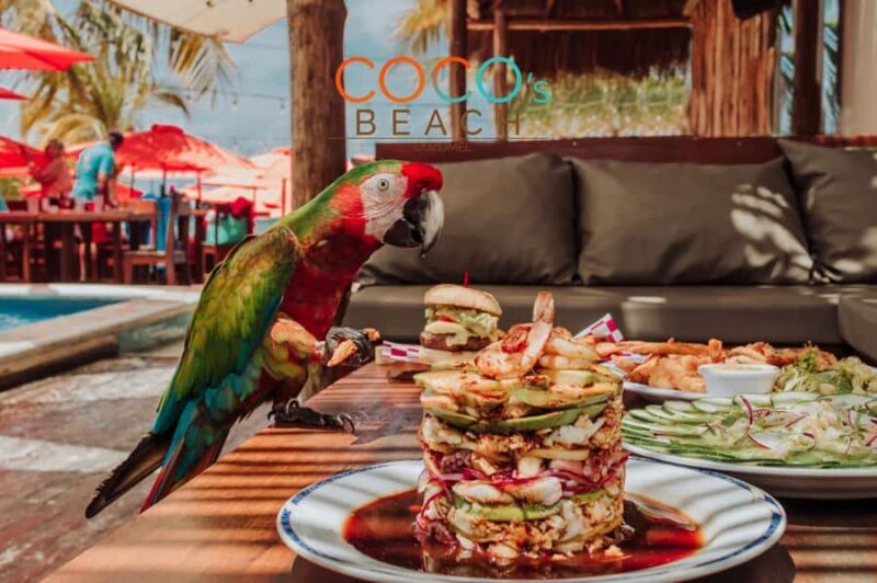 Cozumel: Private Jeep & ATV Tour to Jade Cavern w Snorkeling - Jade Cavern and Punta Sur Park: Highlights of the Land Adventure